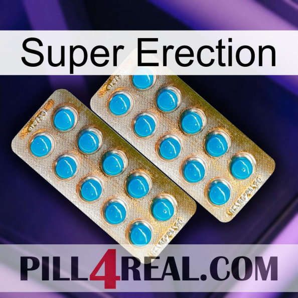 Super Erection new08.jpg